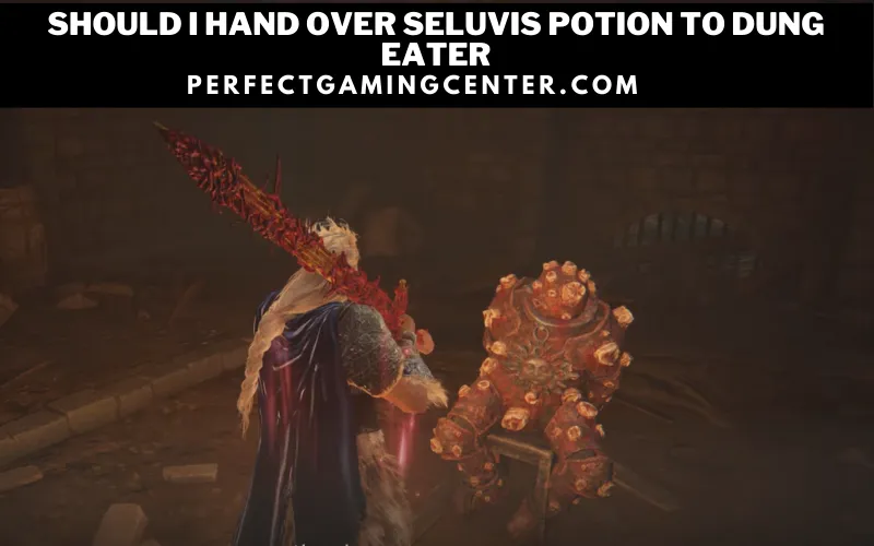 Do You Need To Hand Over Seluvis Potion Or Not?
