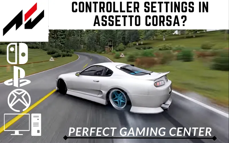 Controller Settings In Assetto Corsa?
