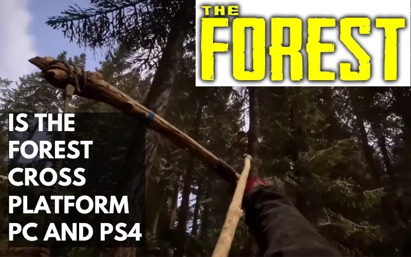 Is The Forest Cross Platform Pc And Ps4