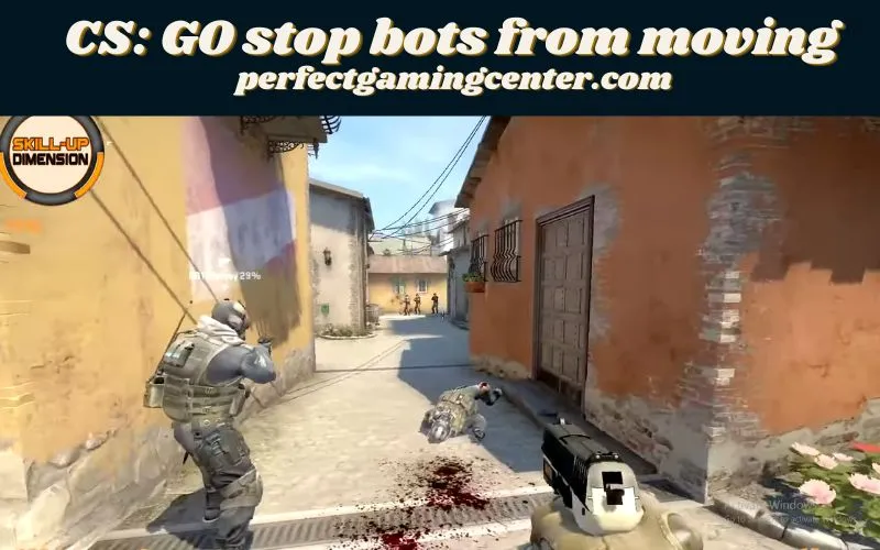 CS: GO stop bots from moving