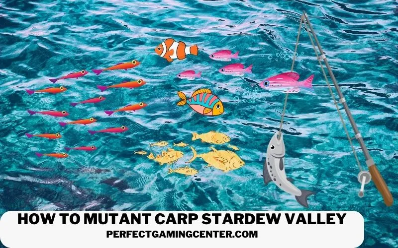 How To Mutant Carp Stardew Valley?
